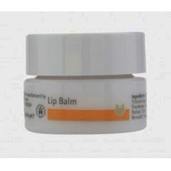 Lip Balm balzam