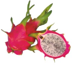 Pitaya